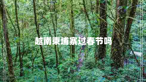 越南柬埔寨過春節(jié)嗎
