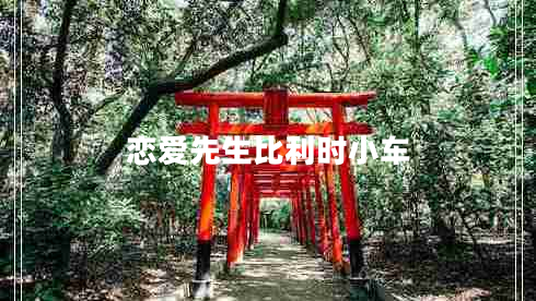 戀愛(ài)先生比利時(shí)小車