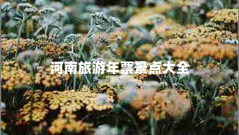 河南旅游年票景點大全