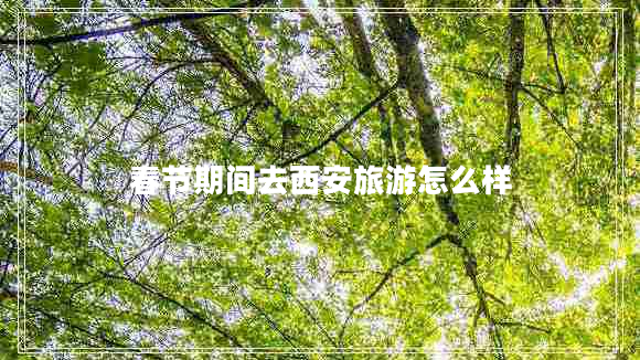 春節(jié)期間去西安旅游怎么樣