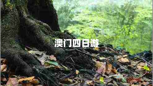 澳門四日游