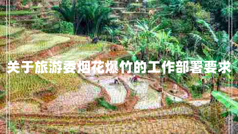 關于旅游委煙花爆竹的工作部署要求