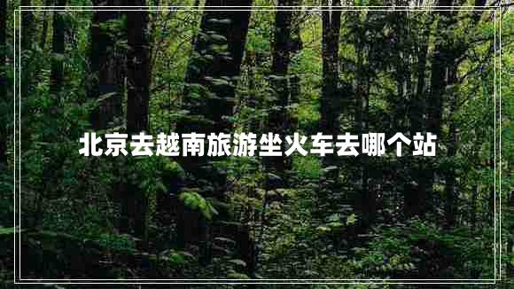北京去越南旅游坐火車去哪個站