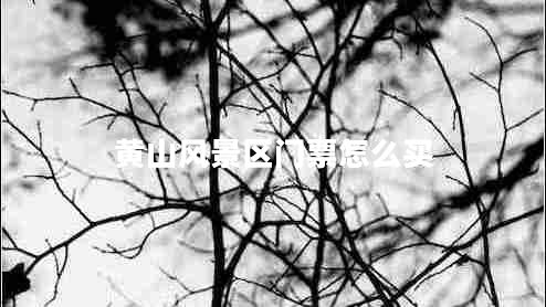 黃山風景區(qū)門票怎么買