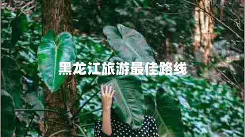 黑龍江旅游最佳路線