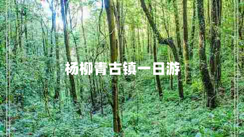 楊柳青古鎮(zhèn)一日游