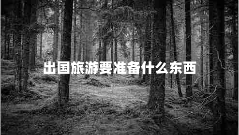 出國(guó)旅游要準(zhǔn)備什么東西