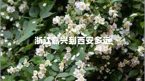 浙江嘉興到西安多遠(yuǎn)