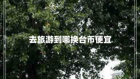 去旅游到哪換臺(tái)幣便宜