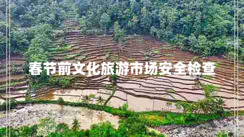 春節(jié)前文化旅游市場安全檢查