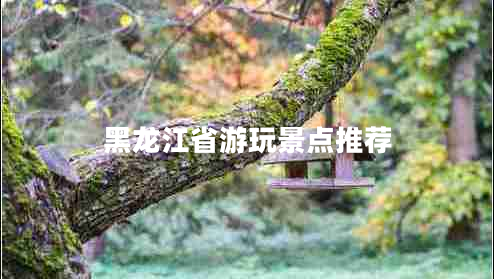 黑龍江省游玩景點推薦