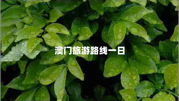澳門旅游路線一日