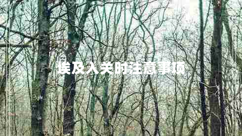 埃及入關(guān)時注意事項(xiàng)