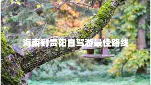 海南到貴陽(yáng)自駕游最佳路線