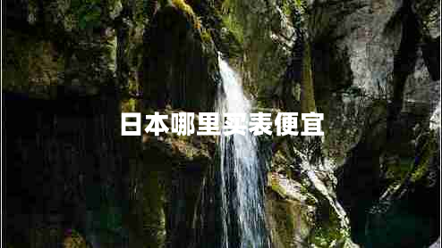 日本哪里買表便宜