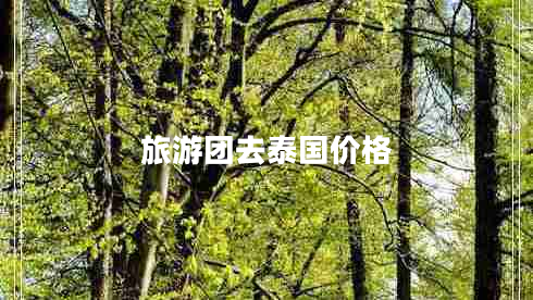 旅游團(tuán)去泰國價(jià)格