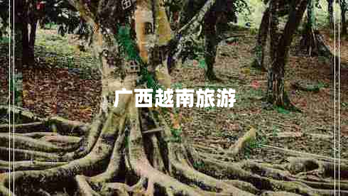 廣西越南旅游