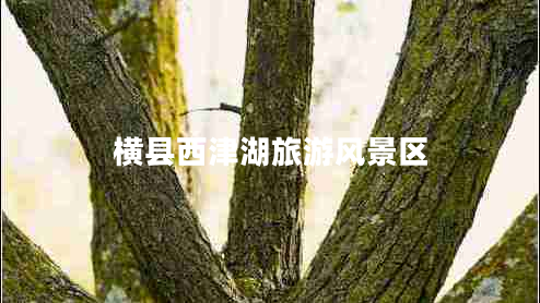 橫縣西津湖旅游風(fēng)景區(qū)