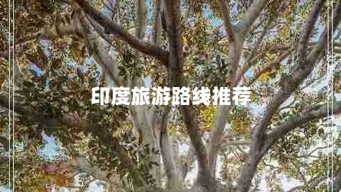 印度旅游路線推薦
