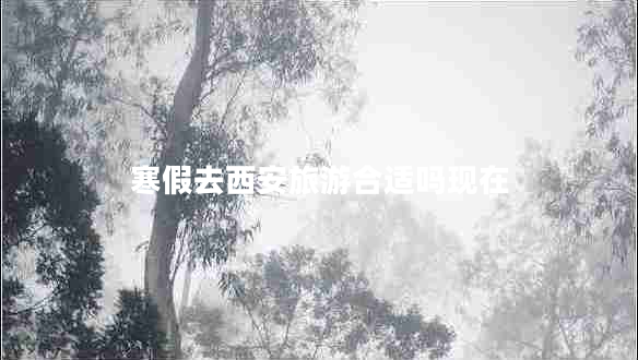 寒假去西安旅游合適嗎現(xiàn)在