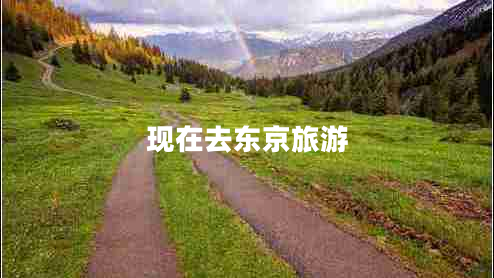 現(xiàn)在去東京旅游