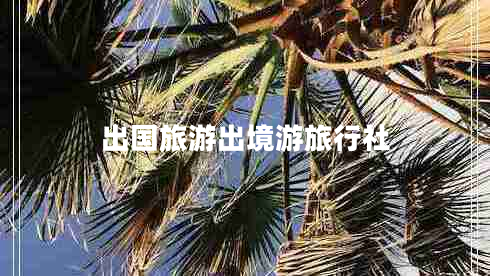 出國(guó)旅游出境游旅行社