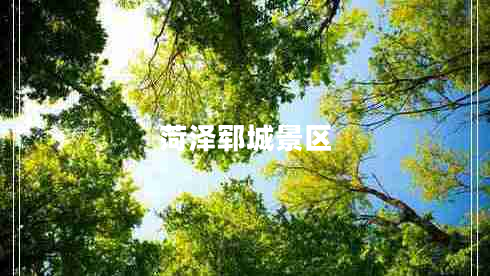 菏澤鄆城景區(qū)