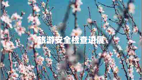 旅游安全檢查進展