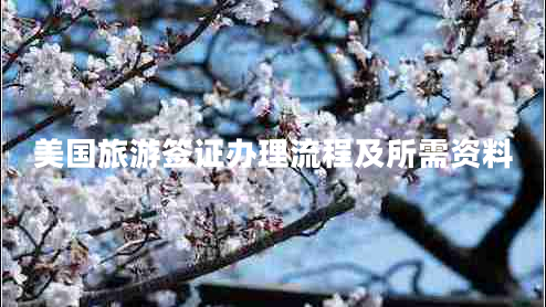 美國(guó)旅游簽證辦理流程及所需資料