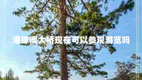 港珠澳大橋現(xiàn)在可以參觀游覽嗎