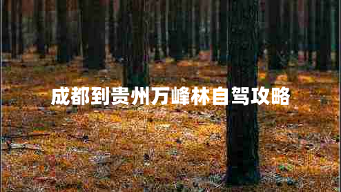 成都到貴州萬峰林自駕攻略