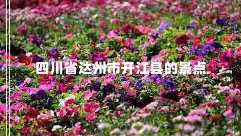 四川省達州市開江縣的景點