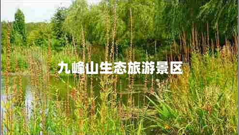 九峰山生態(tài)旅游景區(qū)