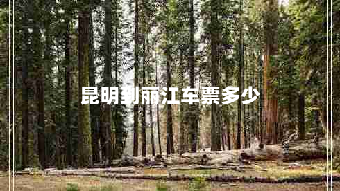 昆明到麗江車票多少