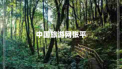 中國(guó)旅游網(wǎng)張平