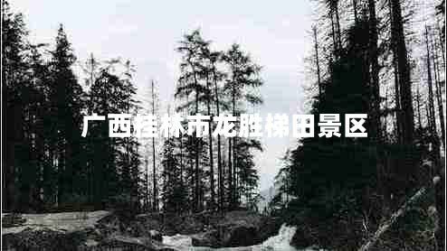 廣西桂林市龍勝梯田景區(qū)
