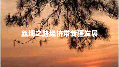 絲綢之路經(jīng)濟(jì)帶新疆發(fā)展