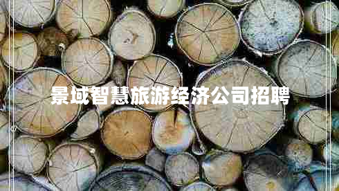 景域智慧旅游經(jīng)濟(jì)公司招聘