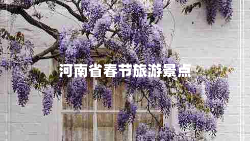 河南省春節(jié)旅游景點(diǎn)