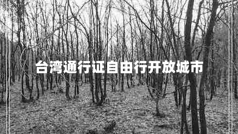 臺(tái)灣通行證自由行開放城市
