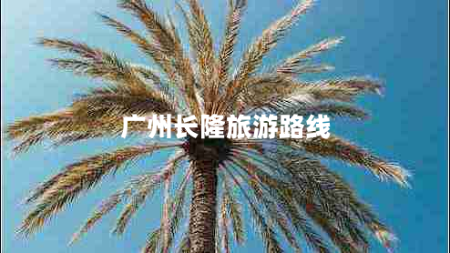 廣州長(zhǎng)隆旅游路線