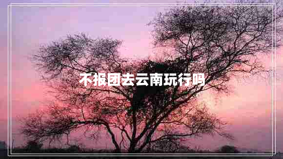 不報(bào)團(tuán)去云南玩行嗎