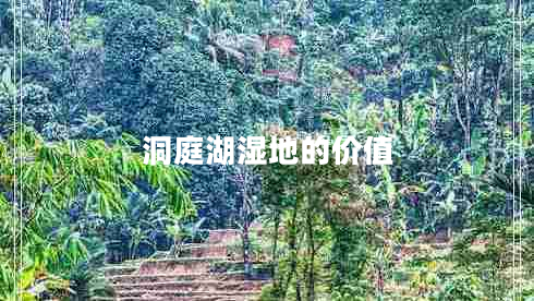 洞庭湖濕地的價值