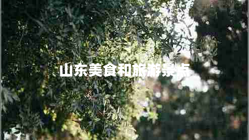 山東美食和旅游景點