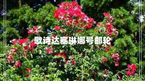 歌詩達塞琳娜號郵輪