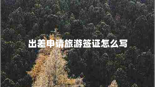 出差申請(qǐng)旅游簽證怎么寫(xiě)