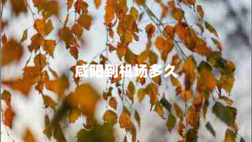 咸陽到機場多久