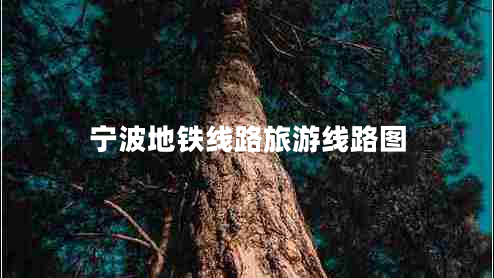 寧波地鐵線路旅游線路圖