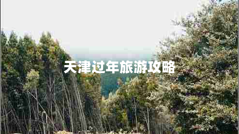 天津過年旅游攻略