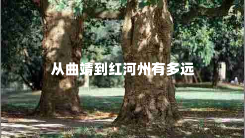 從曲靖到紅河州有多遠(yuǎn)